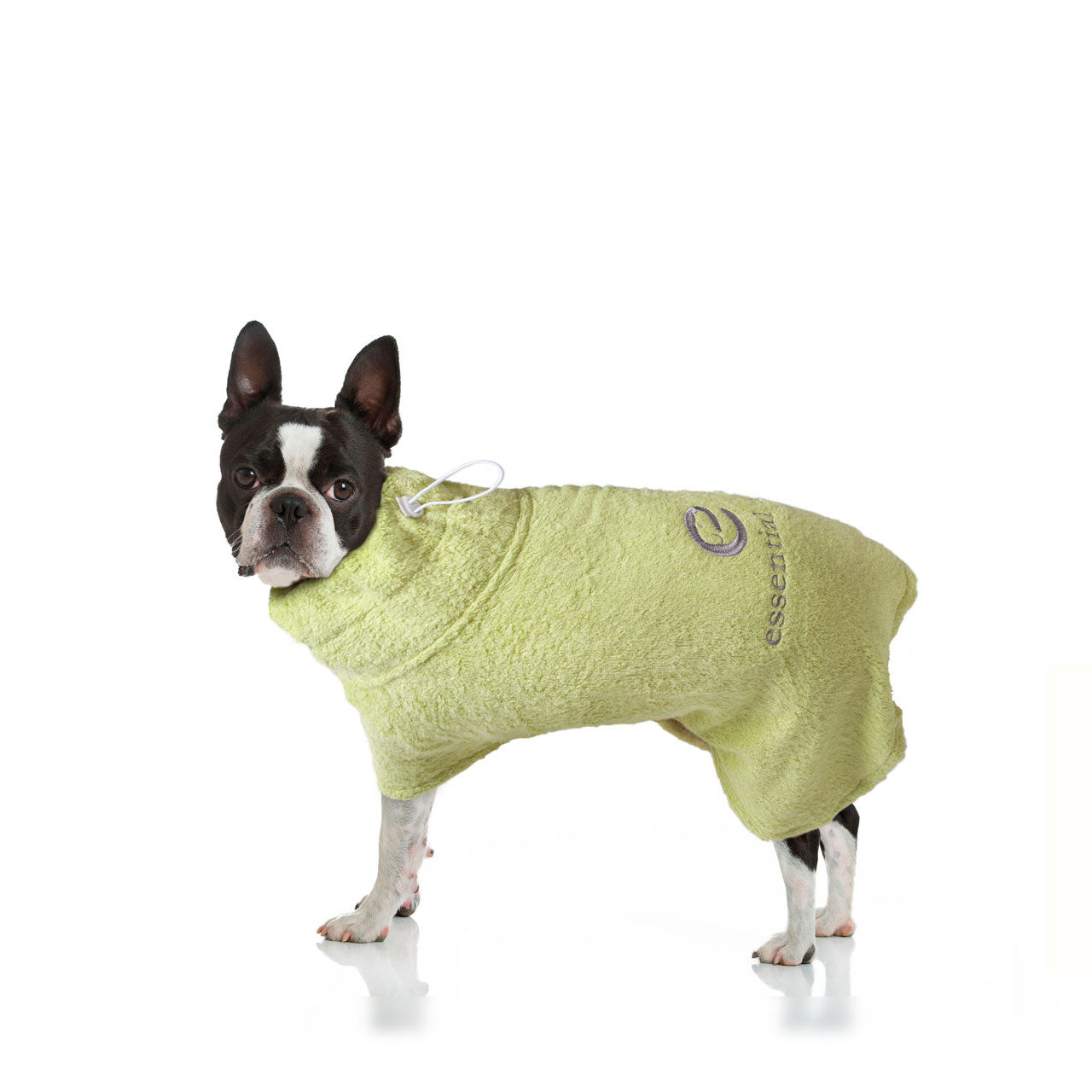 Organic Bamboo Dog Bathrobe (XS - XL) LIMITED EDITION-3
