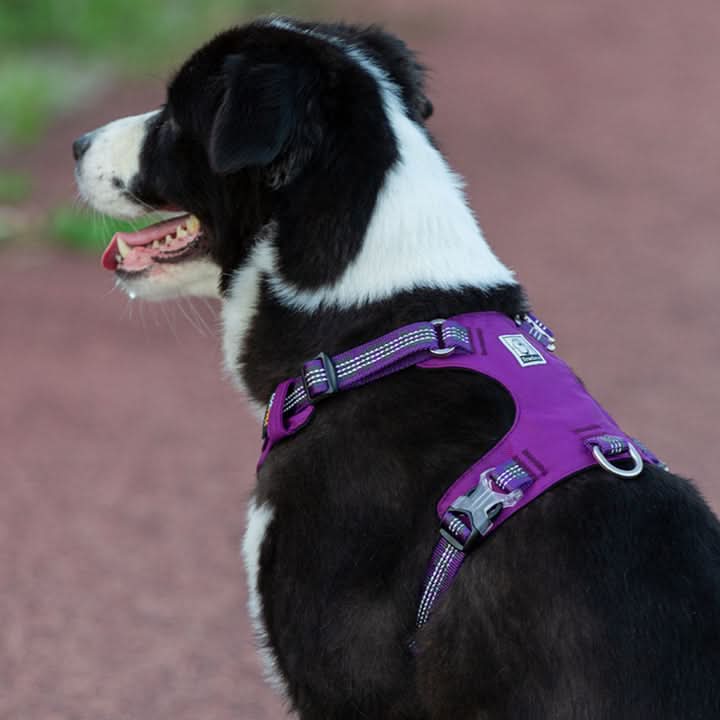 True Love Lightweight Reflective Harness - Purple, M-4