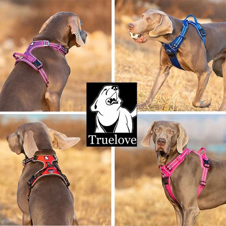 True Love No Pull Explosion Proof Dog Harness - Pink, XL-2
