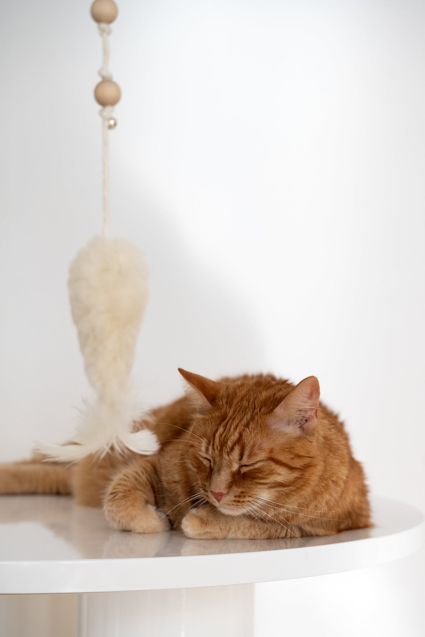 Natural Sheepskin Cat Toy: Fish-2