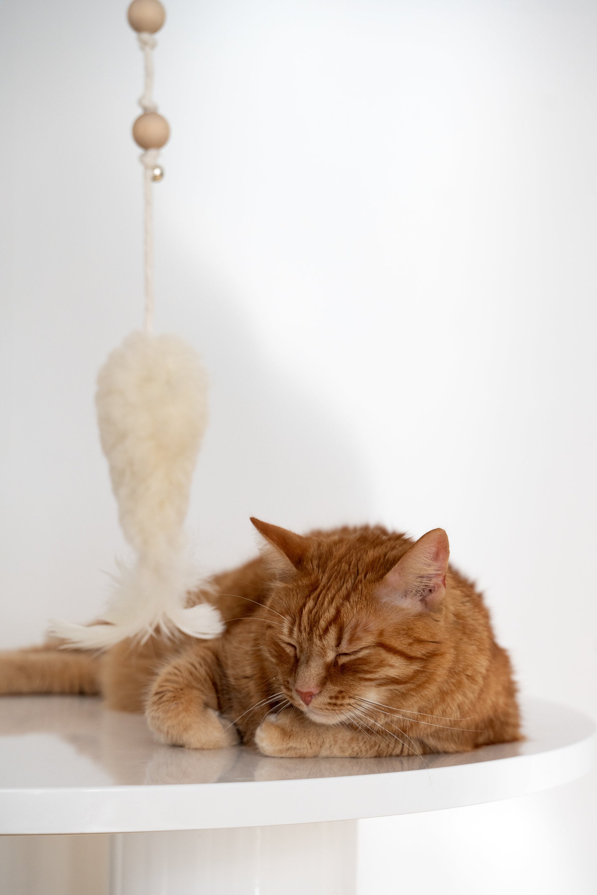 Natural Sheepskin Cat Toy: Fish-2