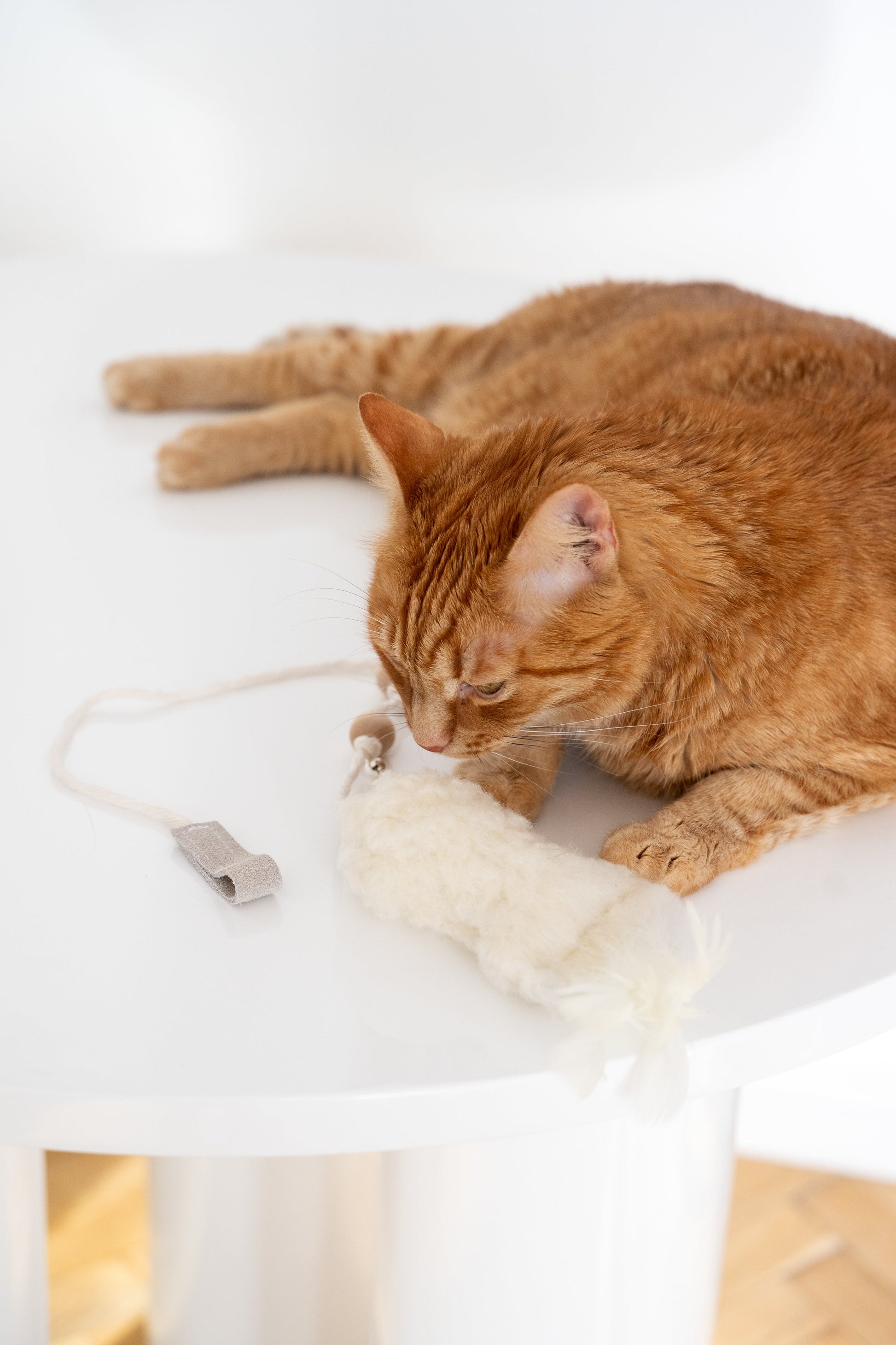 Natural Sheepskin Cat Toy: Fish-3