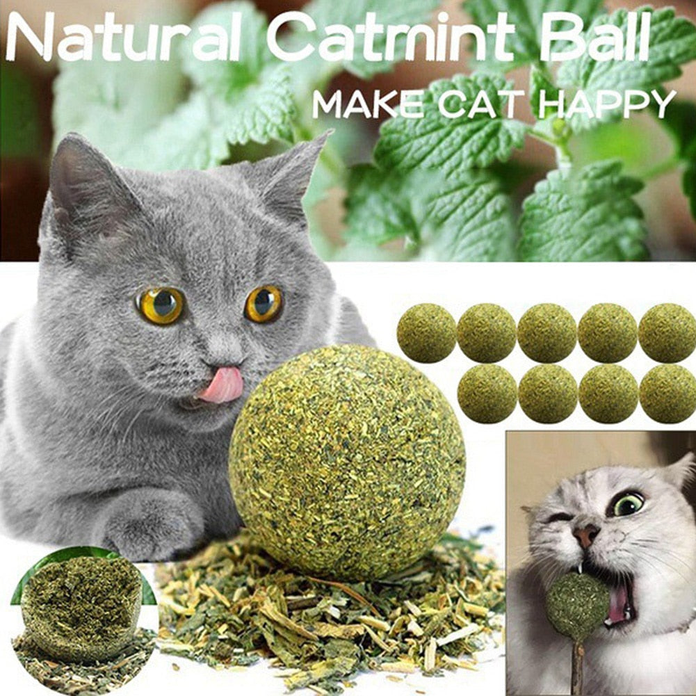 NNEOBA Edible Catnip Ball – Natural Cat Mint Toy-1