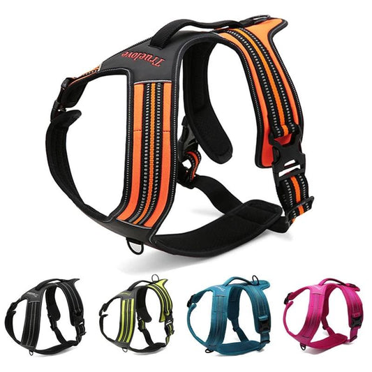 True Love Heavy Duty Sports Dog Harness - Orange, M-0