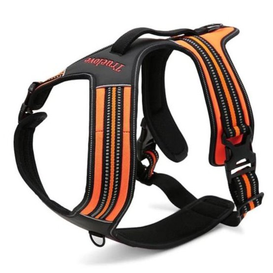 True Love Heavy Duty Sports Dog Harness - Orange, M-2